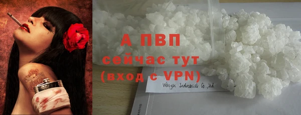 apvp Алексин