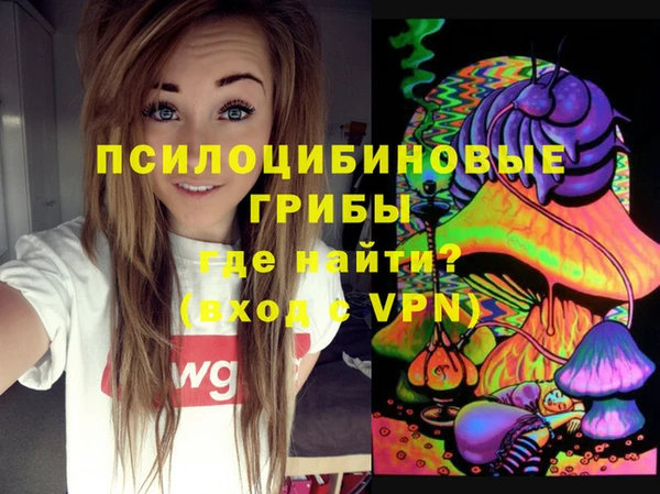 apvp Алексин
