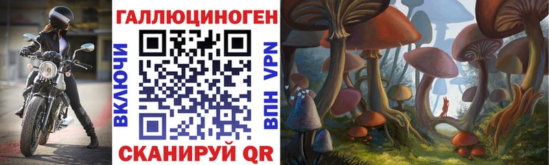 Псилоцибиновые грибы мицелий  цены   Тара 
